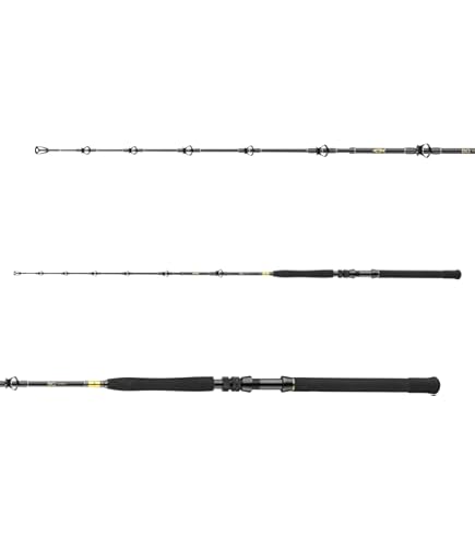 Amazon.com : DAIWA BG Deep Sea XXH, Boat Fishing Rod, 7 Feet 3